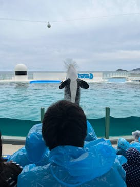 鴨川シーワールドに投稿された画像（2023/4/2）