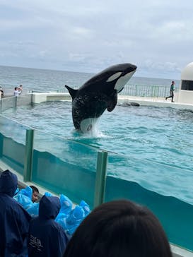 鴨川シーワールドに投稿された画像（2023/4/2）