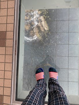 徳島県立 渦の道に投稿された画像（2023/4/2）