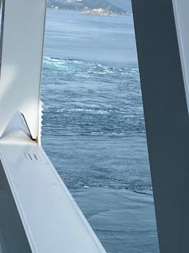 徳島県立 渦の道に投稿された画像（2023/4/2）