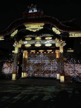 『NAKED FLOWERS 2023 桜 世界遺産・二条城』に投稿された画像（2023/4/2）