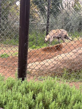 千葉市動物公園に投稿された画像（2023/4/2）
