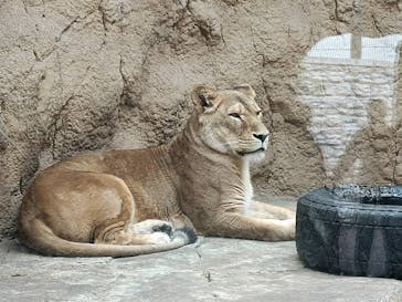 日立市かみね動物園に投稿された画像（2023/4/2）