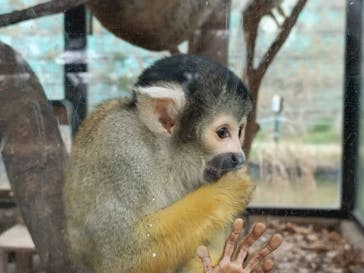 日立市かみね動物園に投稿された画像（2023/4/2）