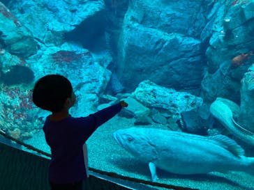 大分マリーンパレス水族館 「うみたまご」に投稿された画像（2023/4/2）