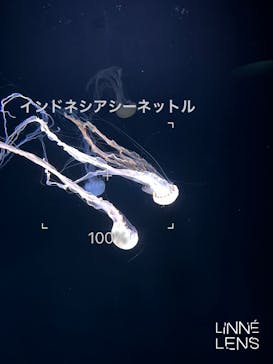 サンシャイン水族館に投稿された画像（2023/4/2）