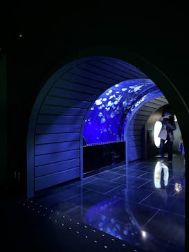 サンシャイン水族館に投稿された画像（2023/4/2）