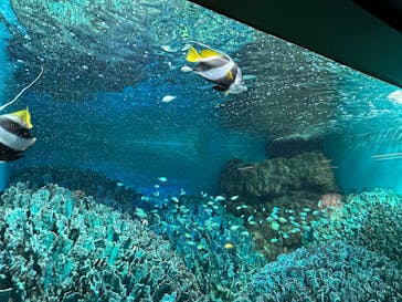 サンシャイン水族館に投稿された画像（2023/4/2）