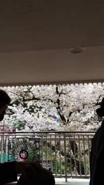 浅草花やしきに投稿された画像（2023/4/2）