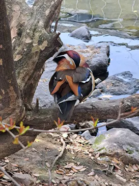 神戸どうぶつ王国に投稿された画像（2023/4/2）