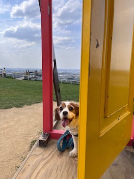 ワールド牧場に投稿された画像（2023/4/2）