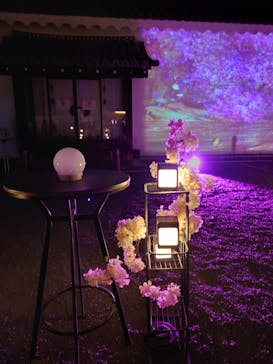 『NAKED FLOWERS 2023 桜 世界遺産・二条城』に投稿された画像（2023/4/2）