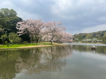 三溪園に投稿された画像（2023/4/2）