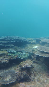 串本海中公園水族館に投稿された画像（2023/4/2）