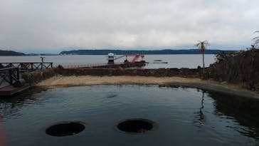 串本海中公園水族館に投稿された画像（2023/4/2）