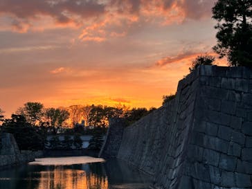 『NAKED FLOWERS 2023 桜 世界遺産・二条城』に投稿された画像（2023/4/2）