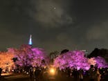 NAKED 桜の新宿御苑 2023に投稿された画像（2023/4/2）