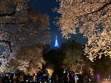 NAKED 桜の新宿御苑 2023に投稿された画像（2023/4/2）