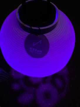 NAKED 桜の新宿御苑 2023に投稿された画像（2023/4/2）