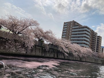 東京ウォータウェイズに投稿された画像（2023/4/2）