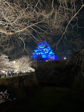 大阪城公園 西の丸庭園に投稿された画像（2023/4/2）