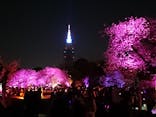 NAKED 桜の新宿御苑 2023に投稿された画像（2023/4/2）