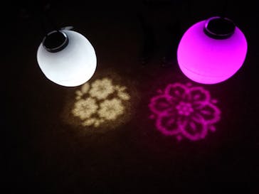 NAKED 桜の新宿御苑 2023に投稿された画像（2023/4/2）