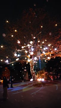 西武園ゆうえんちに投稿された画像（2023/4/2）