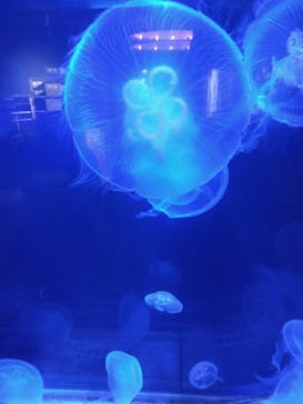 株式会社Gに投稿された画像（2023/4/2）