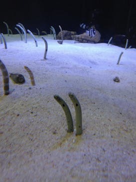 株式会社Gに投稿された画像（2023/4/2）