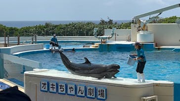 沖縄美ら海水族館に投稿された画像（2023/4/2）