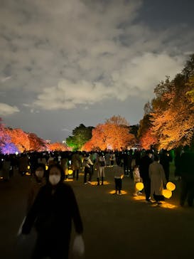 NAKED 桜の新宿御苑 2023に投稿された画像（2023/4/2）