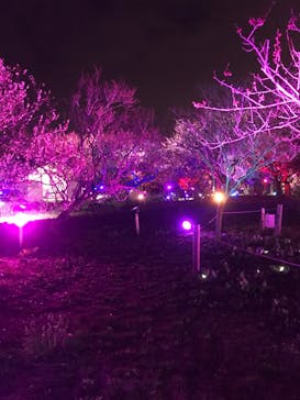 せんだい農業園芸センター　みどりの杜に投稿された画像（2023/4/2）