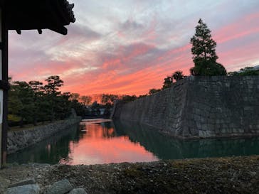 『NAKED FLOWERS 2023 桜 世界遺産・二条城』に投稿された画像（2023/4/2）