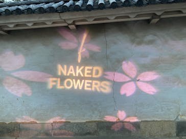 『NAKED FLOWERS 2023 桜 世界遺産・二条城』に投稿された画像（2023/4/2）