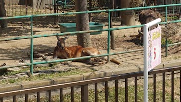 日立市かみね動物園に投稿された画像（2023/4/2）