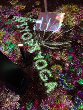 NAKED 桜の新宿御苑 2023に投稿された画像（2023/4/2）