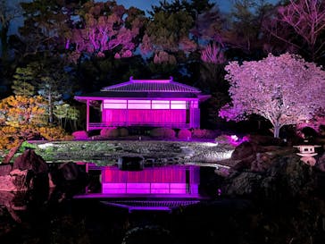 『NAKED FLOWERS 2023 桜 世界遺産・二条城』に投稿された画像（2023/4/2）