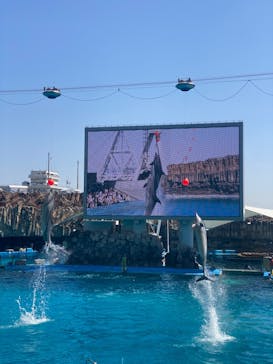 名古屋港水族館に投稿された画像（2023/4/2）