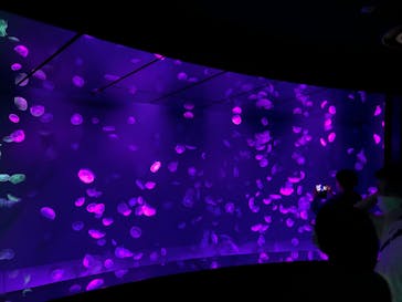 サンシャイン水族館に投稿された画像（2023/4/2）