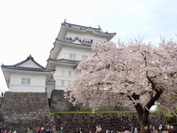 小田原城に投稿された画像（2023/4/2）