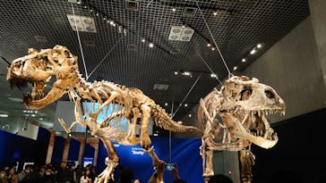 特別展「恐竜博2023」に投稿された画像（2023/4/2）