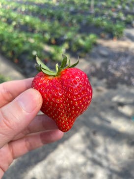 成田ゆめ牧場に投稿された画像（2023/4/2）