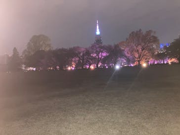 NAKED 桜の新宿御苑 2023に投稿された画像（2023/4/2）