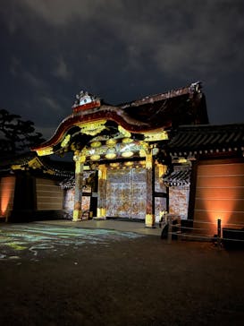 『NAKED FLOWERS 2023 桜 世界遺産・二条城』に投稿された画像（2023/4/2）