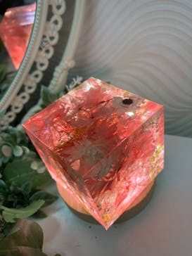 ずこうしつ〜sugamo〜に投稿された画像（2023/4/2）