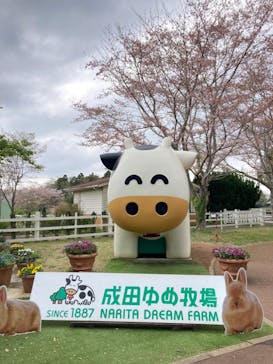 成田ゆめ牧場に投稿された画像（2023/4/2）