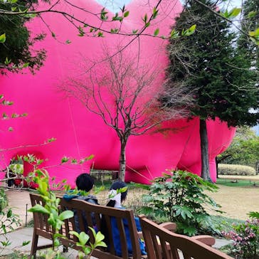 彫刻の森美術館に投稿された画像（2023/4/2）