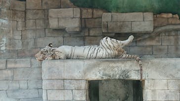 東武動物公園に投稿された画像（2023/4/2）