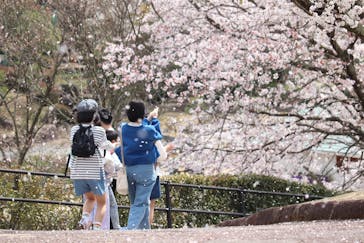 みろくの里に投稿された画像（2023/4/2）